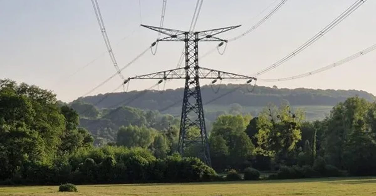 Études écologiques des infrastructures électriques : l&rsquo;expertise technique de DCI Environnement au service de RTE