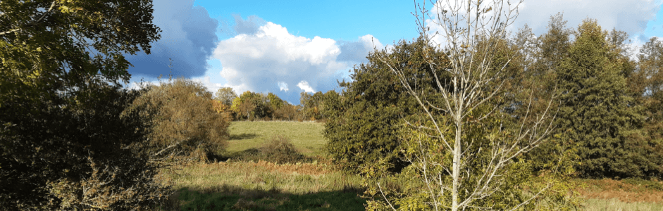 Maîtrise d’œuvre pour l’extension de la zone Alphaparc