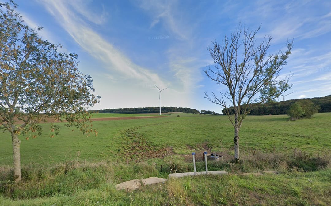 Inventaire et gestion des zones humides : zoom sur la mission pour Grand Longwy Agglomération