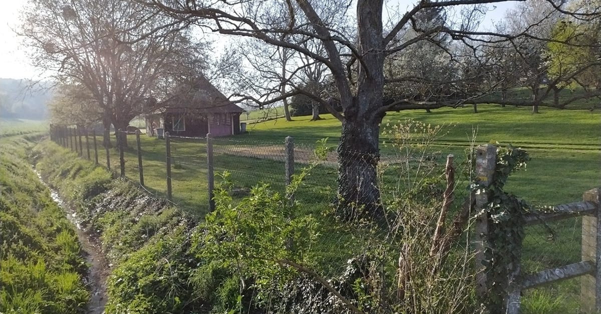 Syndicat Mixte Seine Ouest : Réalisation d&rsquo;inventaires Faune/Flore, Habitats