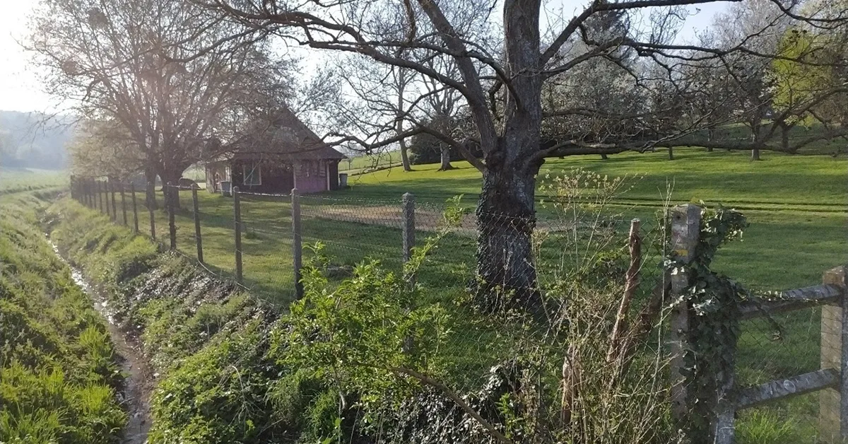 Syndicat Mixte Seine Ouest : Réalisation d’inventaires Faune/Flore, Habitats