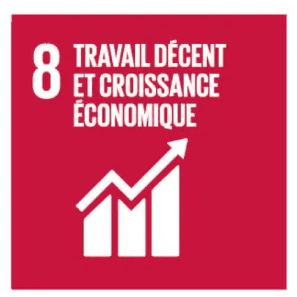 Logo ODD 8 : Travail décent et croissance économique.