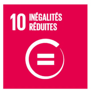Logo ODD 10 : Inégalités réduites.