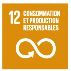 tuile_01_05 Logo ODD 12 : Consommation et production responsables.