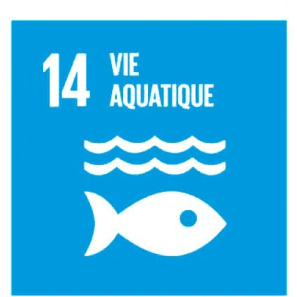 Icône ODD 14 : Vie aquatique avec poisson et vagues.