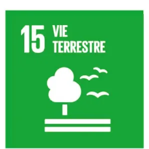 tuile_02_02 Logo ODD 15 : Vie terrestre, arbre et oiseaux.