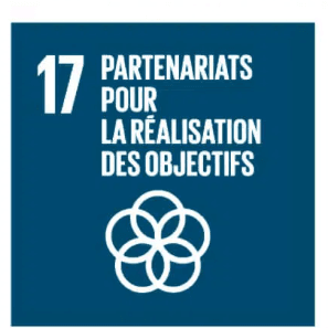 Logo ODD 17 : Partenariats pour la réalisation des objectifs.